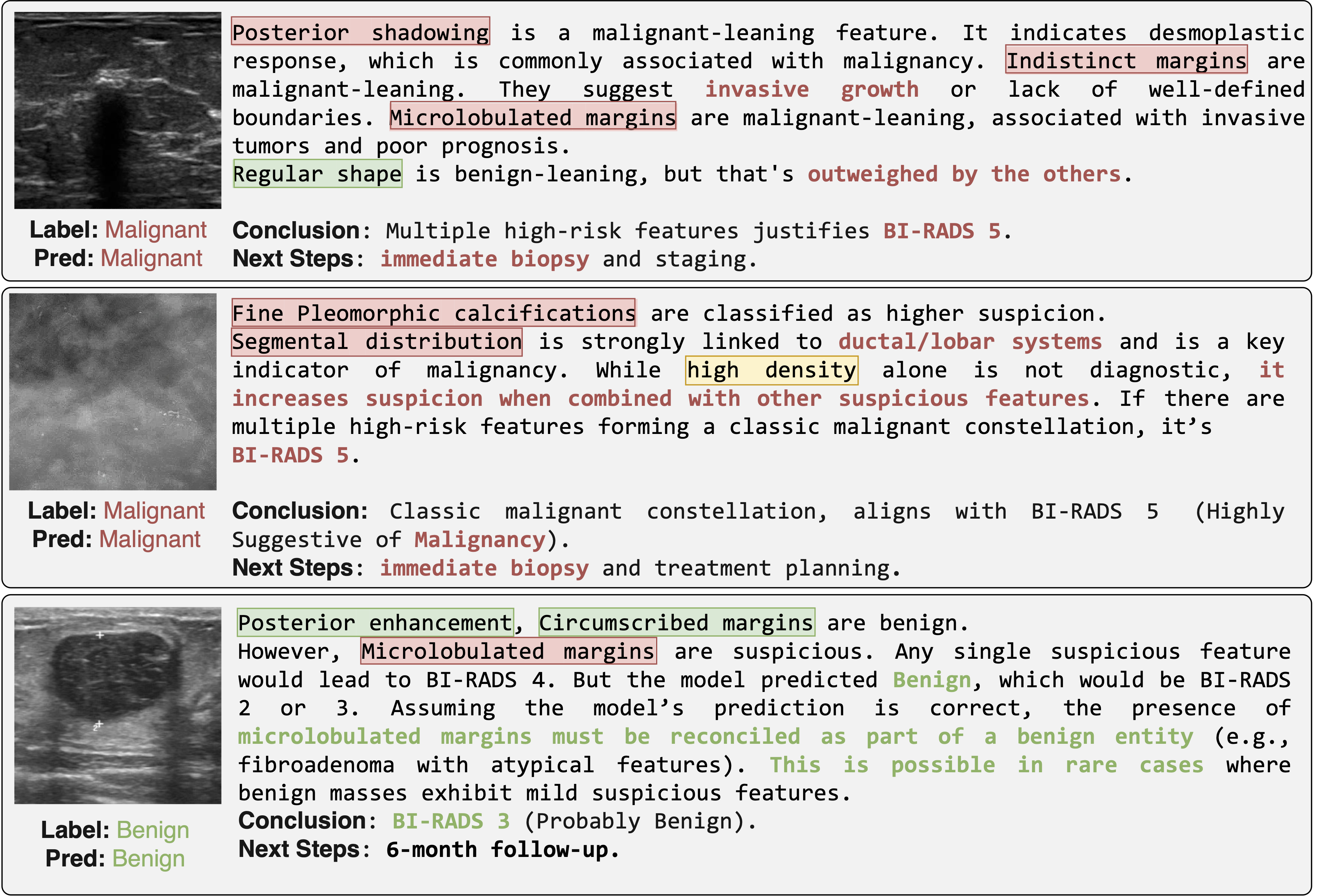Qualitative Analysis